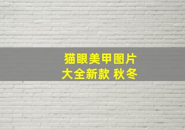 猫眼美甲图片大全新款 秋冬